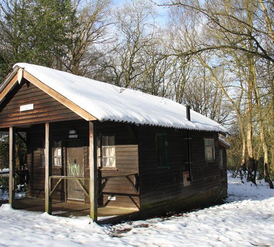 dickPhilSnow1_750x500 555x500